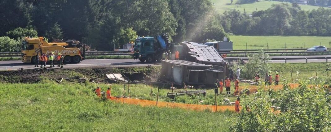 Reševanje prašičev na avtocesti, vir BFV LiezenHaider