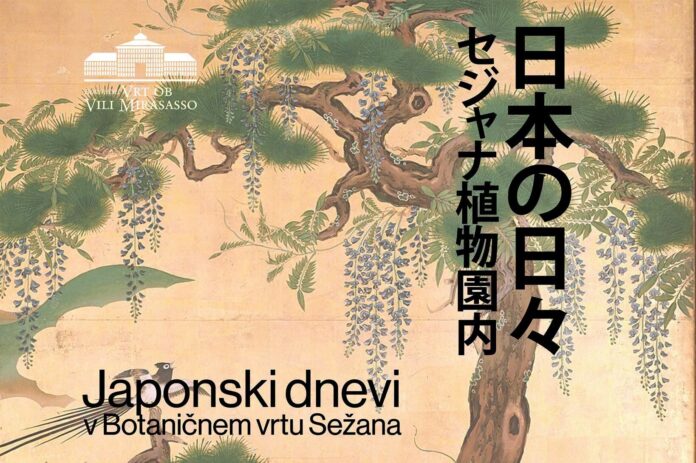 japonski-kamisibaj-navdusil-podgoro-z-zgodbami-in-slikami-foto-6a43cbe88e42d-1782828008