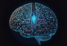 Parkinsonova bolezen: Kako zaščititi možgane?