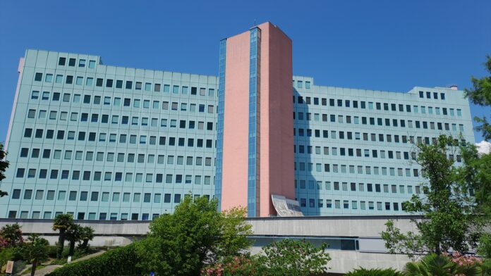 sempetrska-bolnisnica-nujno-isce-50-medicinskih-sester-6a302fa0a7433-1781542816
