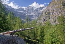 Tragedija na Gran Paradisu: Smrt treh alpinistov šokira Italijo