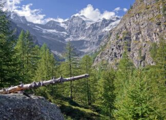Tragedija na Gran Paradisu: Smrt treh alpinistov šokira Italijo