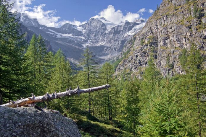 tragedija-na-gran-paradisu-smrt-treh-alpinistov-sokira-italijo-6a2d8c9bf138b-1781370011