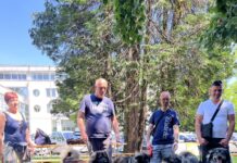 Žurnalov festival v Novi Gorici: Raj za ljubitelje živali in družine #video#foto