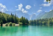 Grozljivka pri Belopeških jezerih: Najdeni trupli Slovencev