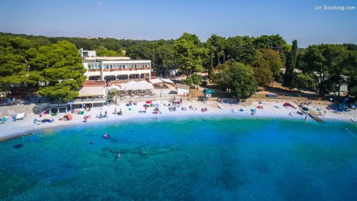 Pula-vir-fb.jpg