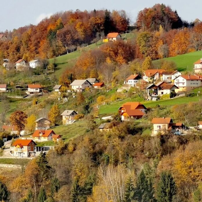 delovna-nesreca-v-sevnem-dva-mladenica-hudo-poskodovana-6a4f8d600570e-1783598432