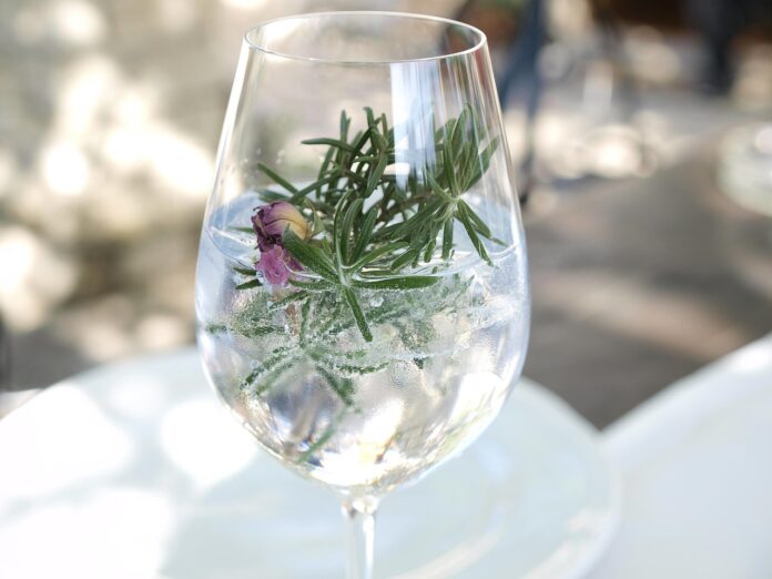 gin-brin-festival-v-dutovljah-odkrijte-skrivnosti-okusov-6a47ea99a3a28-1783098009