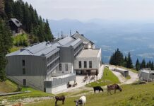 Kako Golte postajajo celoletna turistična destinacija