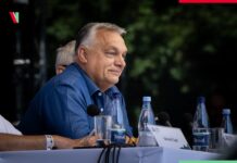 Orban napoveduje upor, Magyar o padlem mafijskem šefu