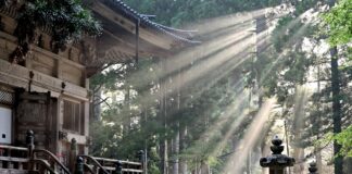 Japonska ponuja prazne hiše za 1 evro, a povpraševanje nično