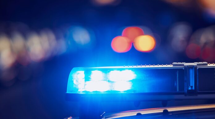 Tragična smrt Slovenca v Novigradu buri javnost in policijo