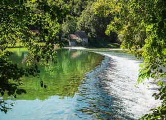 Službeni pes v Beli krajini očaral mlade gasilce na taboru
