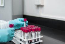 Pijani asistent evroposlanca z lažnim dovoljenjem ujet na Hrvaškem