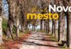 Nov dom za drevesa s Florjanovega trga #foto