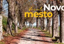 Nov dom za drevesa s Florjanovega trga #foto