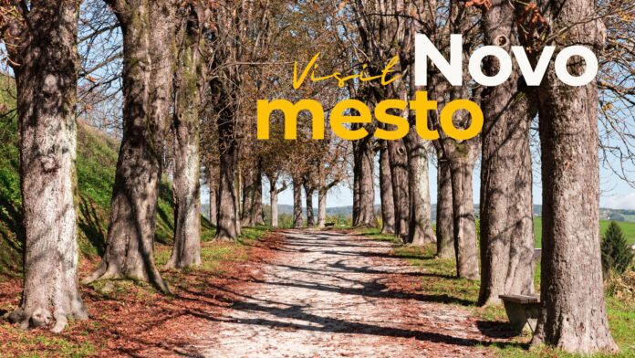 nov-dom-za-drevesa-s-florjanovega-trga-foto-6a97bb71a1d17-1788328817