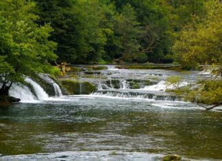 Potapljači očistili Krko: Ekološka akcija združila več kot sto udeležencev #foto