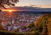 Preureditveni projekt Podutiškega bajerja: Zakaj so ribe še vedno v vodi