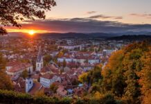 Preureditveni projekt Podutiškega bajerja: Zakaj so ribe še vedno v vodi