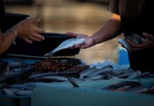Ribniški sejem navdušil več kot 20.000 obiskovalcev