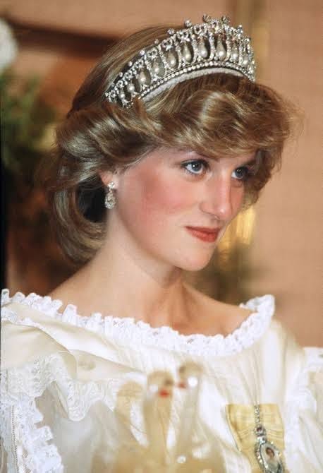 sokantne-trditve-v-knjigi-brata-princese-diane-pretresajo-javnost-6ab378f70e3df-1790146807