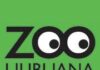 ZOO Ljubljana v žalosti: Slovo od morskega leva Jipa #foto