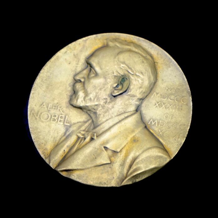 nobelova-nagrada-za-mir-zenski-ki-je-preganjala-vojne-zlocine-kdo-je-navi-pillay-foto-6ac8bb2b41420-1791540011
